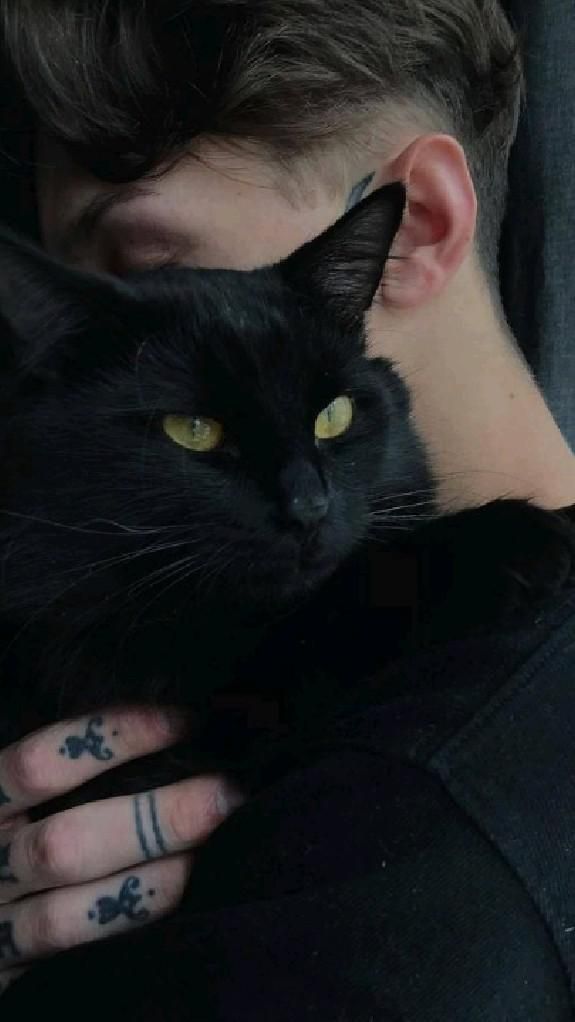 Cat Dpz