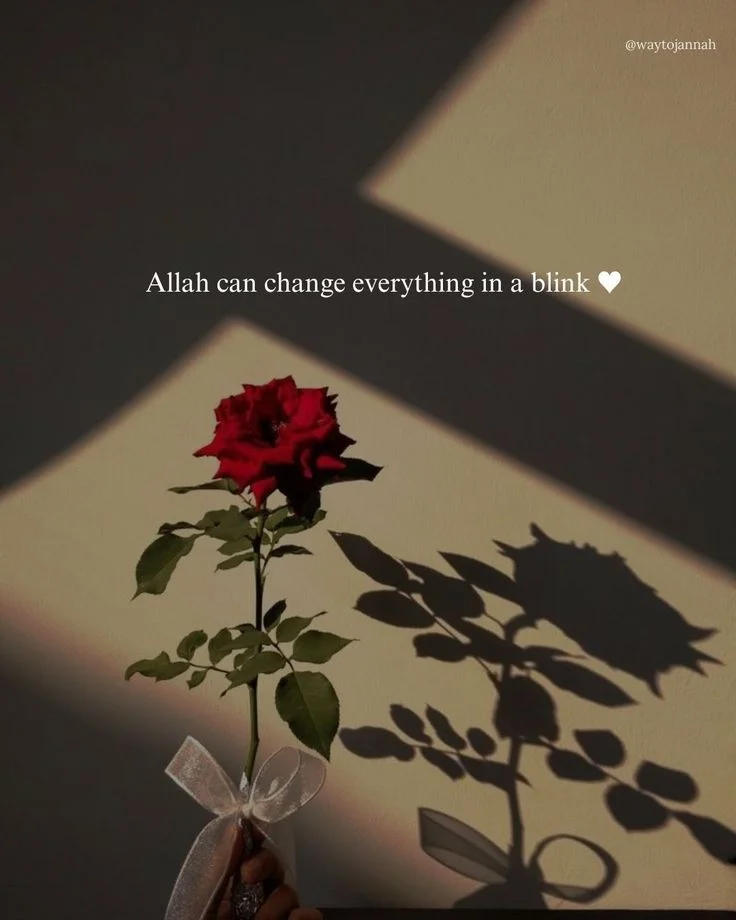 Islamic Dpz For fb