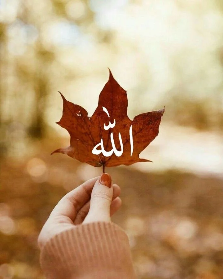 Islamic Dpz For fb