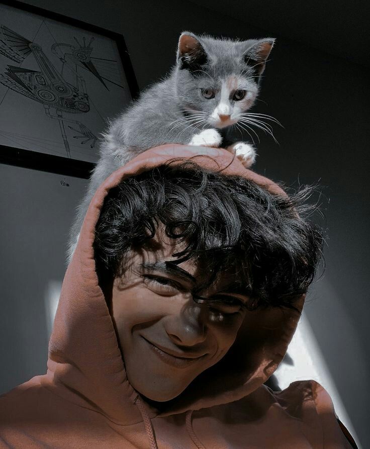 Cat Dpz for boys