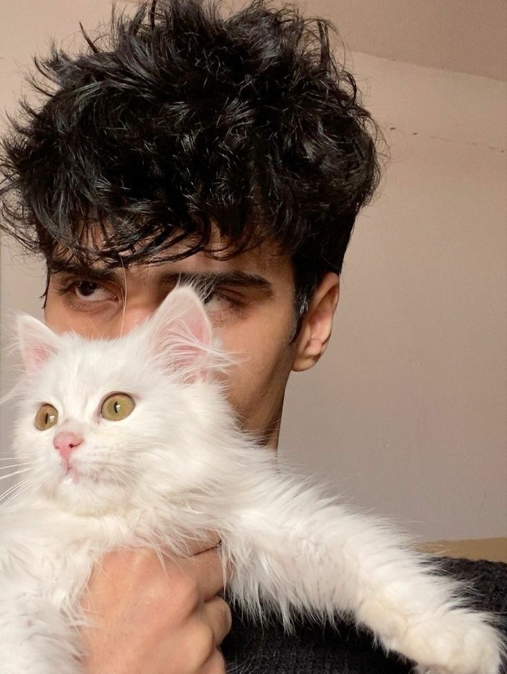 Cat Dpz for boys