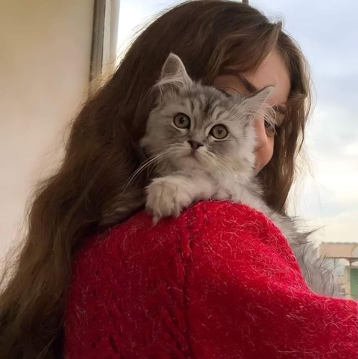 Cat Dpz for Girls: