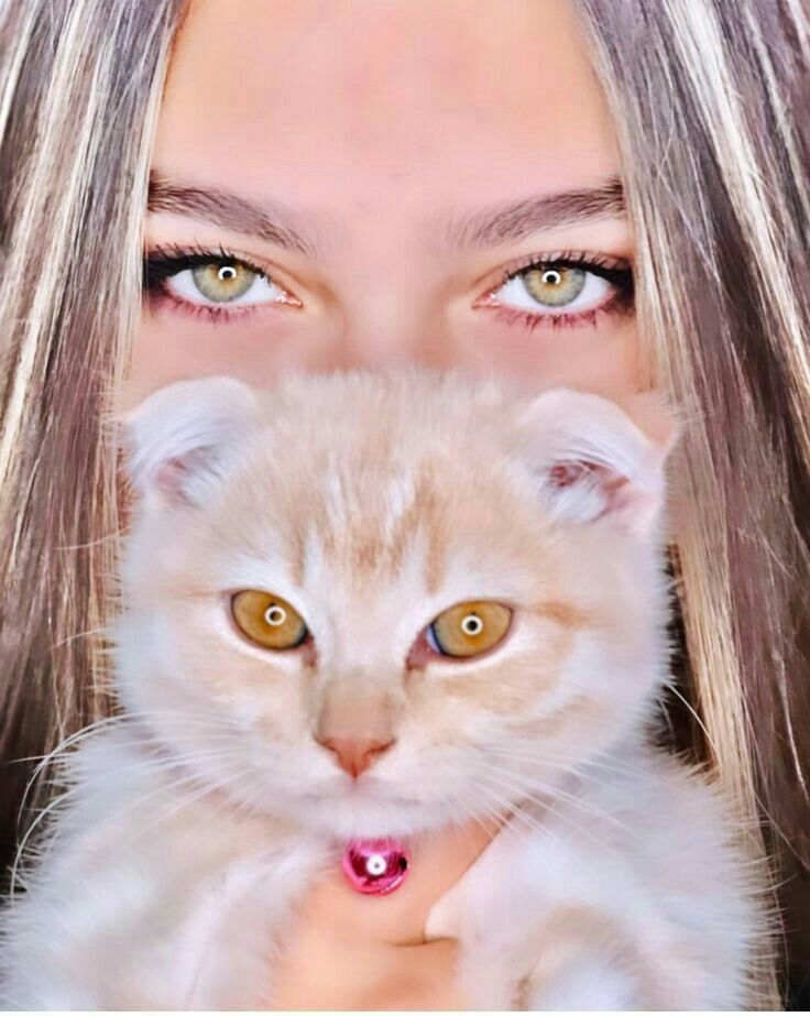 Cat Dpz for Girls: