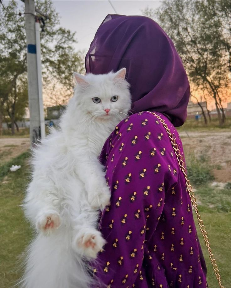 Cat Dpz for Girls: