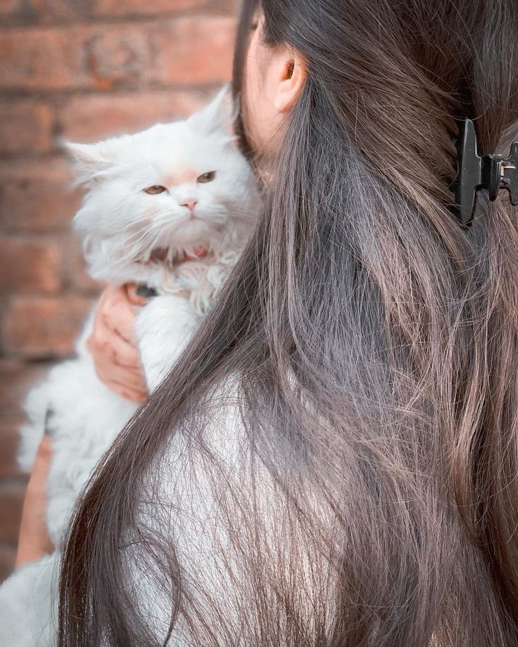 Cat Dpz for Girls: